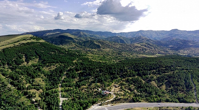 Türkiye, ağaçlandırma çalışmalarında Avrupa'da birinci sırada