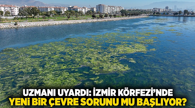 Uzmanı uyardı... İzmir Körfezi'nde yeni bir çevre sorunu mu başlıyor?