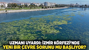 Uzmanı uyardı... İzmir Körfezi'nde yeni bir çevre sorunu mu başlıyor?