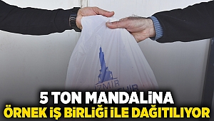 5 ton mandalina örnek iş birliği ile dağıtılıyor 