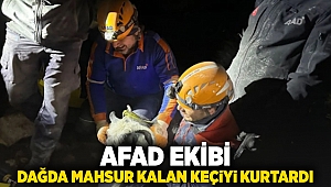 AFAD ekibi dağda mahsur kalan keçiyi kurtardı