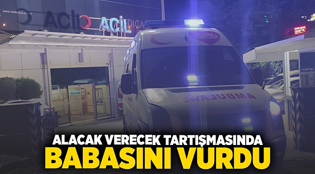 Alacak verecek tartışmasında babasını vurdu