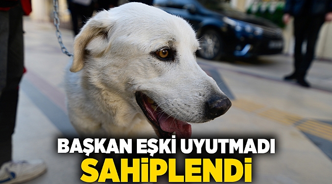 Başkan Eşki uyutmadı sahiplendi