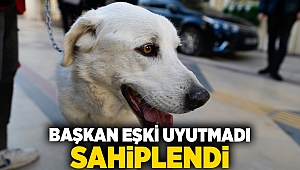 Başkan Eşki uyutmadı sahiplendi