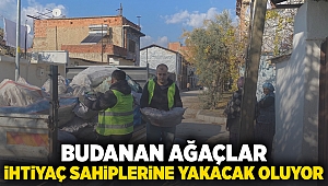 Budanan ağaçlar ihtiyaç sahiplerine yakacak oluyor