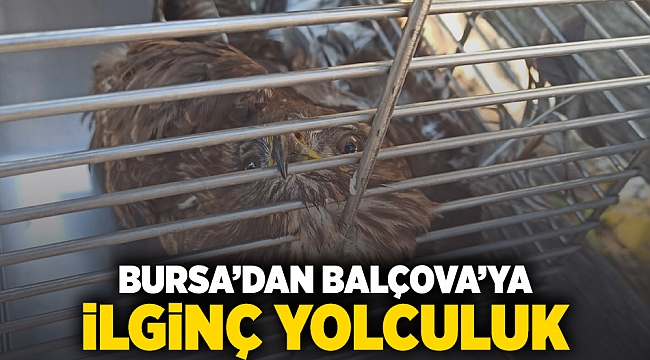 Bursa’dan Balçova’ya ilginç yolculuk