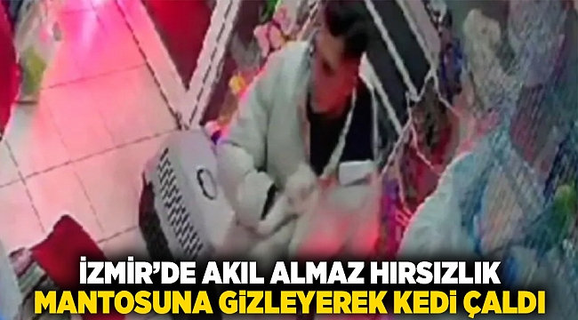 İzmir'de akıl almaz hırsızlık: mantosuna gizleyerek kedi çaldı!