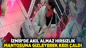 İzmir'de akıl almaz hırsızlık: mantosuna gizleyerek kedi çaldı!