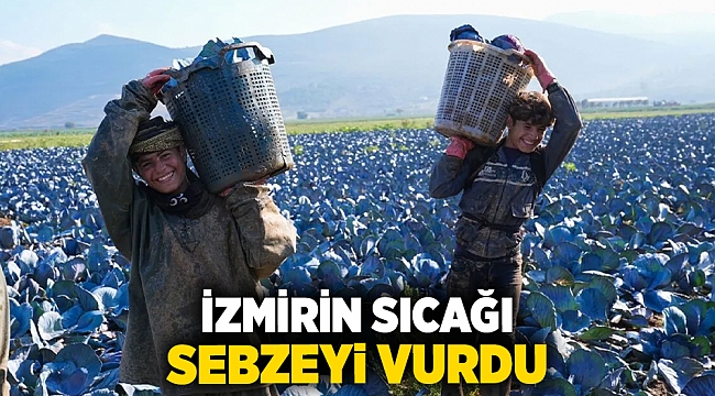 İzmirin sıcağı sebzeyi vurdu