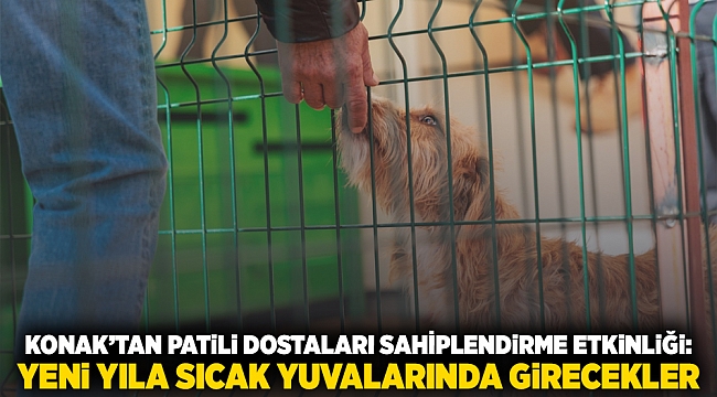 Konak’tan patili dostları sahiplendirme etkinliği: Yeni yıla sıcak yuvalarında girecekler