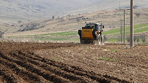 Tarım ÜFE kasımda arttı