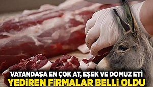 Vatandaşa en çok at, eşek ve domuz eti yediren firmalar belli oldu