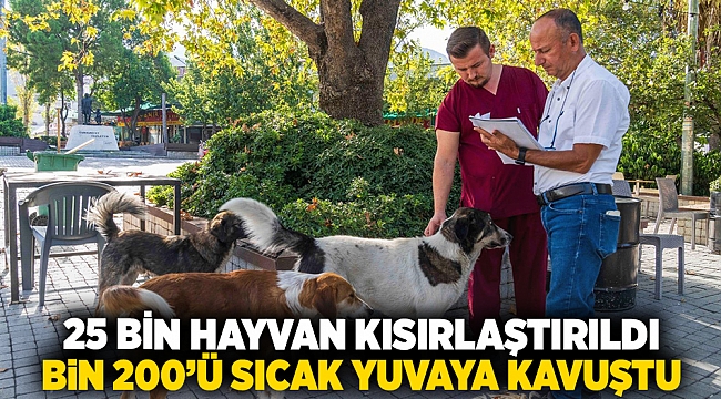 25 bin hayvan kısırlaştırıldı, bin 200’ü sıcak yuvaya kavuştu