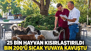 25 bin hayvan kısırlaştırıldı, bin 200’ü sıcak yuvaya kavuştu