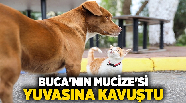 Buca’nın “Mucize”si yuvasına kavuştu