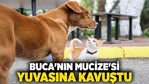 Buca’nın “Mucize”si yuvasına kavuştu