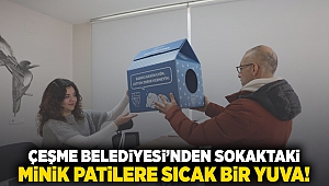 Çeşme Belediyesi’nden sokaktaki minik patilere sıcak bir yuva!