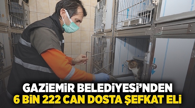 Gaziemir Belediyesi’nden 6 bin 222 can dosta şefkat eli