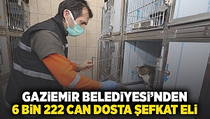 Gaziemir Belediyesi’nden 6 bin 222 can dosta şefkat eli