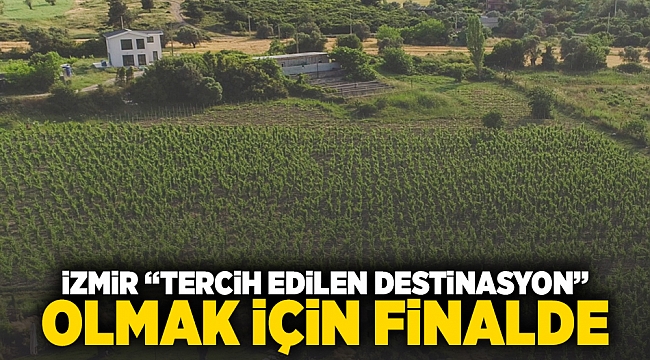 İzmir “Tercih Edilen Destinasyon” olmak için finalde