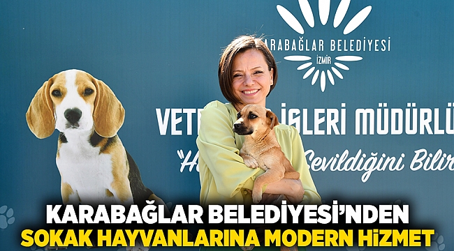 Karabağlar Belediyesi’nden sokak hayvanlarına modern hizmet