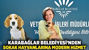 Karabağlar Belediyesi’nden sokak hayvanlarına modern hizmet