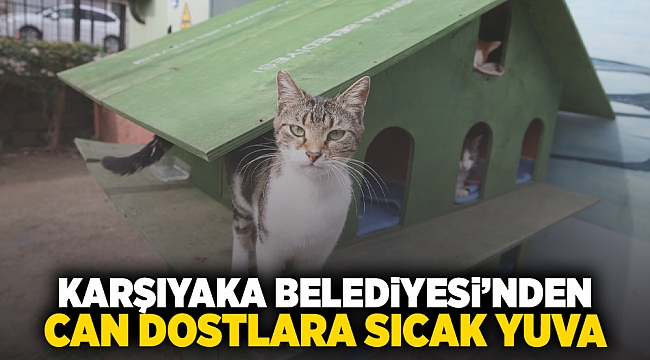 Karşıyaka Belediyesi’nden can dostlara sıcak yuva