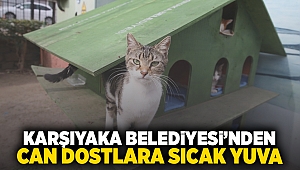 Karşıyaka Belediyesi’nden can dostlara sıcak yuva