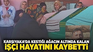  Karşıyaka'da kestiği ağacın altında kalan işçi hayatını kaybetti