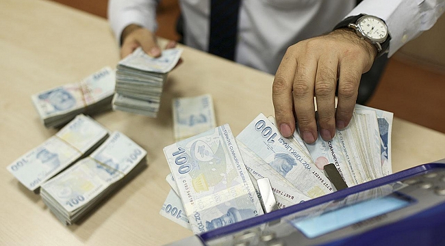 Ulusal Vefa Programı'na bu yıl için 3,8 milyar lira kaynak ayrıldı