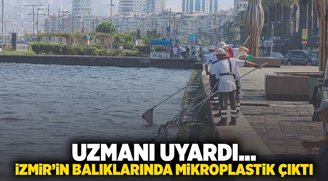 Uzmanı uyardı... İzmir'in balıklarında mikroplastik çıktı