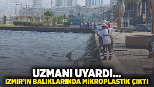 Uzmanı uyardı... İzmir'in balıklarında mikroplastik çıktı