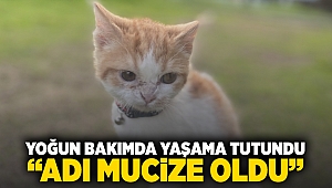  Yoğun bakımda yaşama tutundu, adı “Mucize” oldu