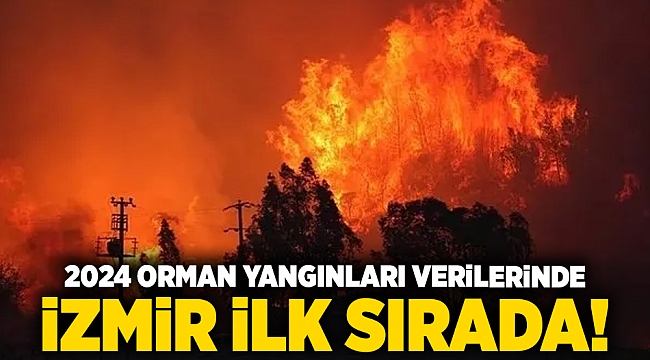 2024 orman yangınları verilerinde İzmir ilk sırada!