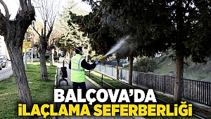 Balçova’da ilaçlama seferberliği