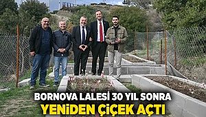 Bornova Lalesi 30 yıl sonra yeniden çiçek açtı