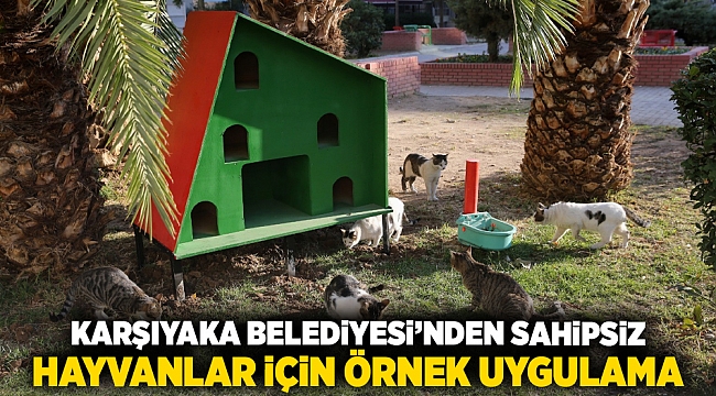 Karşıyaka Belediyesi’nden sahipsiz hayvanlar için örnek uygulama