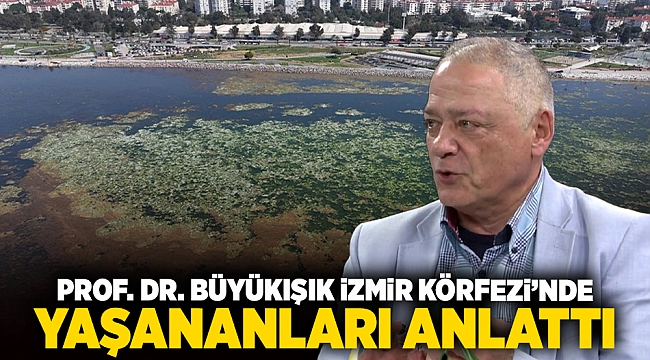 Prof. Dr. Büyükışık İzmir Körfezi'nde yaşananları anlattı