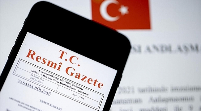 Tasarruf finansman şirketleri 