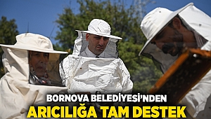 Bornova Belediyesi’nden arıcılığa tam destek