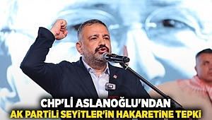 CHP'li Aslanoğlu'ndan AKP'li Seyitler'in hakaretine tepki