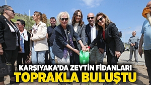 Karşıyaka’da zeytin fidanları toprakla buluştu