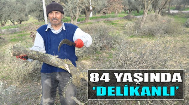 84 Yaşında Delikanlı