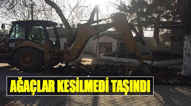 Ağaçlar Kesilmedi Taşındı!