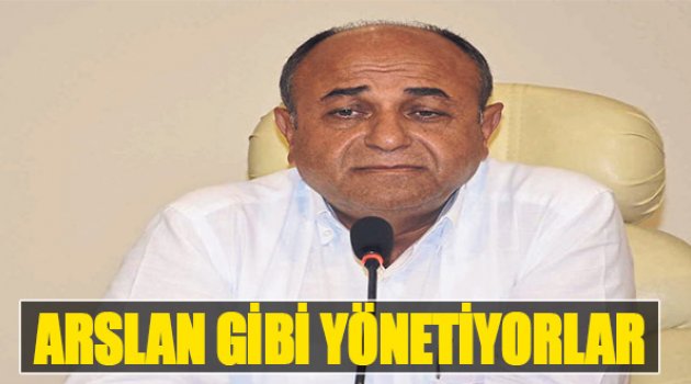 Arslan Gibi Yönetiyorlar