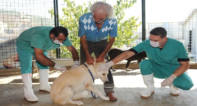 Can dostlara sağlık taraması