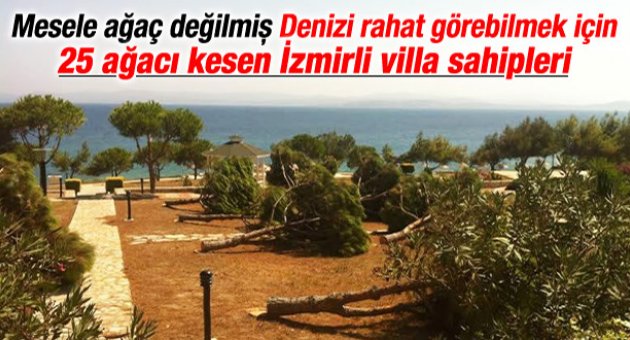 Çeşme'de manzarayı kapatıyor diye ağaç katliamı yaptılar