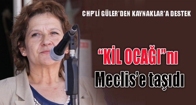 CHP’Lİ GÜLER'DEN KAYNAKLAR'A DESTEK