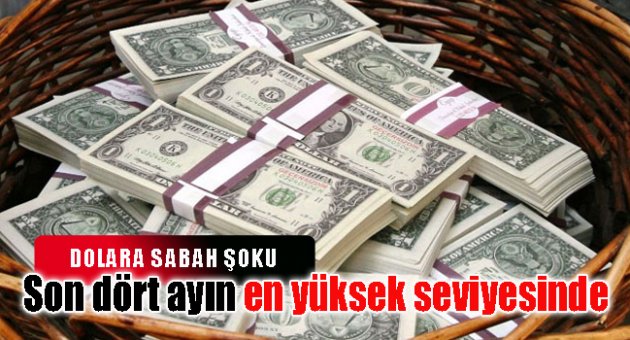 Dolar son dört ayın en yüksek seviyesini gördü