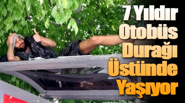 'Durak Tarzanı' 7 Yıldır Otobüs Durağının Üzerinde Yaşıyor